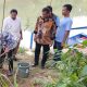 Hari Gerakan Satu Juta Pohon dan HLHN, Gerakan ‘Banten Teduh,Tangerang Sejuk’ Tanam 5.000 Pohon