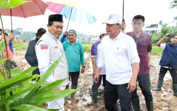 Tanam Bambu di RTH Cisoka, Bupati Tangerang: Wujud Komitmen Pelestarian Lingkungan dan Perkuat Identitas Daerah