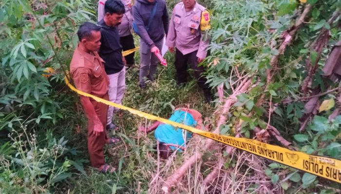 Warga Linggapura Ditemukan Tak Bernyawa di Kebun, Polisi: Diduga Tersengat Aliran Listrik