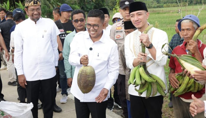 Program Bang Andra Bangun Jalan untuk 200 Hektare Sawah, Beban Petani Karyajaya Berkurang
