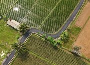 Program Bang Andra Percepat Pembangunan Infrastruktur Desa di Banten