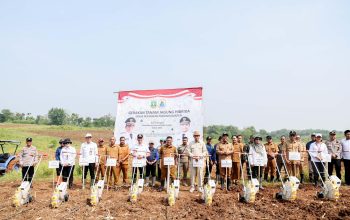 Gubernur Andra Soni Canangkan Gerakan Tanam Jagung untuk Ketahanan Pangan di Banten