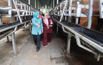 Kunjungi Sitandu, Tinawati Andra Soni Tekankan Penguatan Ketahanan Keluarga Lewat Pertanian