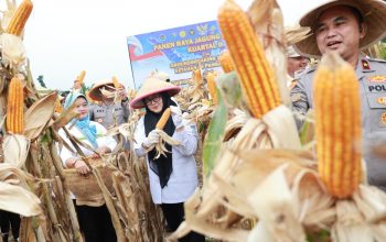 Intan Hadiri Penen Jagung Serentak Kuartal II Bareng Polres Metro Tangsel di Cisauk