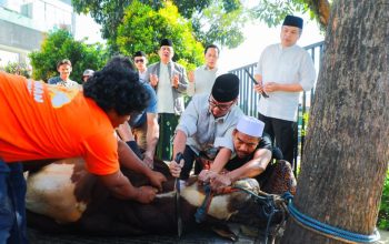 Pilar Ikut Sembelih Hewan Kurban, Ajak Warga Tangsel Perkuat Kepedulian Sosial