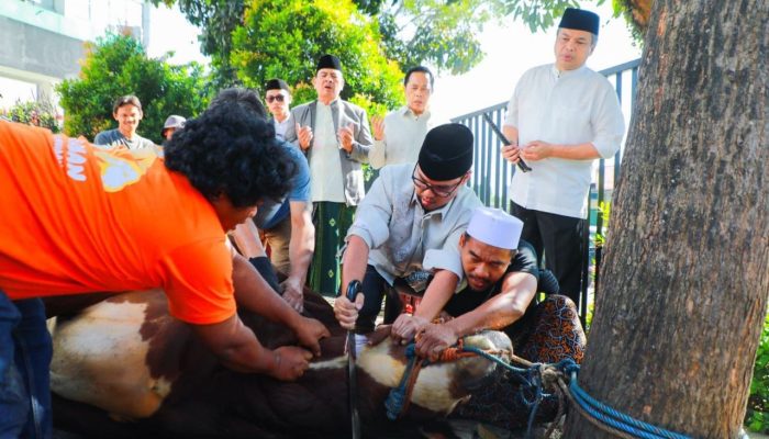 Pilar Ikut Sembelih Hewan Kurban, Ajak Warga Tangsel Perkuat Kepedulian Sosial