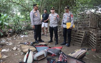 Judi Sabung Ayam di Jayanti Digrebek Polisi