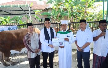 Pemko Tanjungbalai Serahkan Bantuan Sapi Qurban Kemasyarakatan dari Presiden Prabowo Subianto