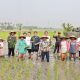 Petani di Sepatan Gelar Ngeroung Bareng Maesyal