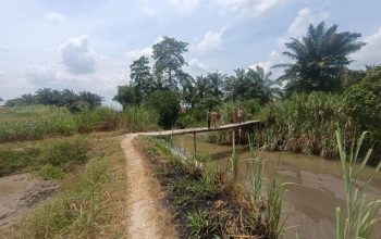 Dinas PUTR Sergai Bangun Jembatan Gantung Rp1,8 Miliar di Sei Bamban, Jembatan Lama Nyaris Ambruk Diterjang Banjir
