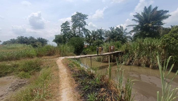 Dinas PUTR Sergai Bangun Jembatan Gantung Rp1,8 Miliar di Sei Bamban, Jembatan Lama Nyaris Ambruk Diterjang Banjir