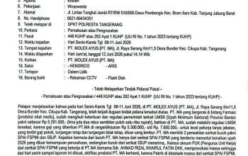 Perusak Pintu Gerbang Pabrik PT Molex Ayus Cikupa ke Polisi