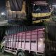 Laga Kambing di Jalinsum Medan–Tebing Tinggi, Pemotor Luka Berat dan Patah Tulang