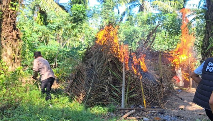Polres Sergai Grebek Sarang Narkoba di Dolok Masihul, Gubuk Diduga Lokasi Transaksi Dibakar