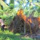 Polres Sergai Grebek Sarang Narkoba di Dolok Masihul, Gubuk Diduga Lokasi Transaksi Dibakar
