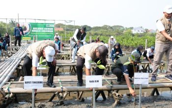 Tanam 10.000 Mangrove di Mauk, Bupati Tangerang Apresiasi Kolaborasi Jurnalis Peduli Lingkungan dan Dunia Usaha