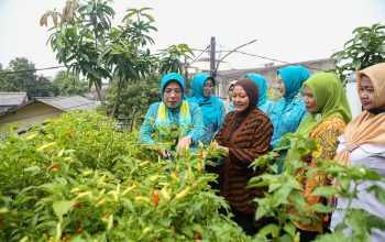 Tinawati Andra Soni: Evaluasi Program PKK untuk Perbaikan dan Pengembangan Program