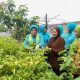 Tinawati Andra Soni: Evaluasi Program PKK untuk Perbaikan dan Pengembangan Program