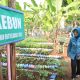 Tinawati Andra Soni: PKK Wujud Pengabdian untuk Perkuat Ketahanan Keluarga