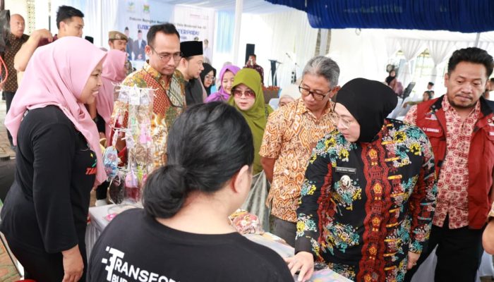 Wabup Intan Ajak Masyarakat Ciptakan Lingkungan Ramah Lansia
