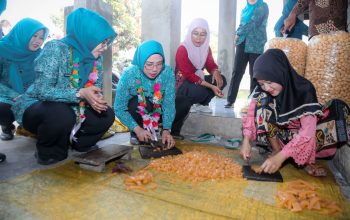 Tinawati Andra Soni Dorong Penguatan Peran Kader PKK sebagai Mitra Pembangunan