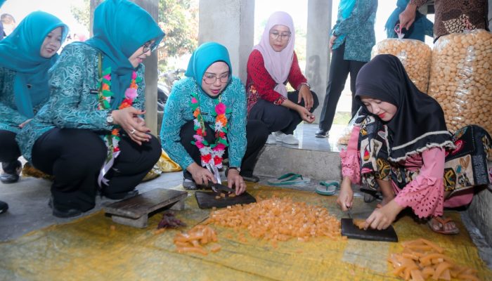 Tinawati Andra Soni Dorong Penguatan Peran Kader PKK sebagai Mitra Pembangunan