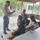 Bripka J. Tarigan Sampaikan Pesan Kamtibmas Secara Humanis