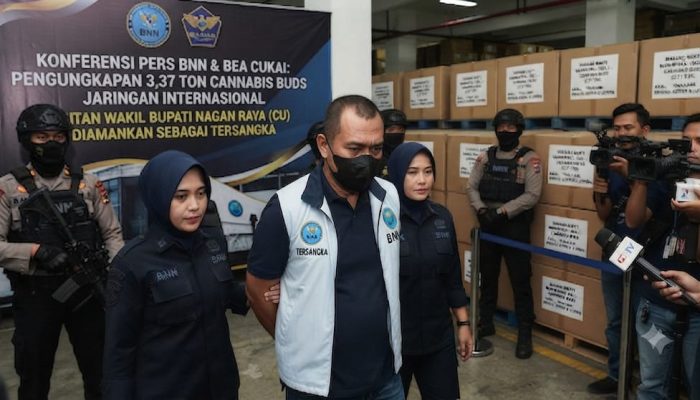 Mantan Wakil Bupati Dibekuk, BNN dan Bea Cukai Gagalkan Pengelundupan 3,37 Ton Cannabis Buds