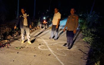 Pelajar di Batu Bara Tewas Tertimpa Pohon Kelapa Tumbang, Polsek Talawi Olah TKP