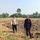 Sukseskan Program Ketahanan Pangan Presiden, Polsek Panongan Gelar Panen Jagung di Desa Ranca Iyuh