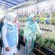 Tinjau Lomba Sekolah Sehat, Tinawati Andra Soni: Sekolah Bukan Sekadar Bersih tapi Aman dan Nyaman