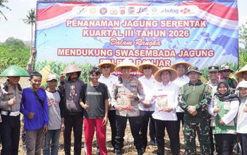 2 Hektare Lahan di Raharja Ditanami Jagung, Polres Banjar Dorong Swasembada Pangan