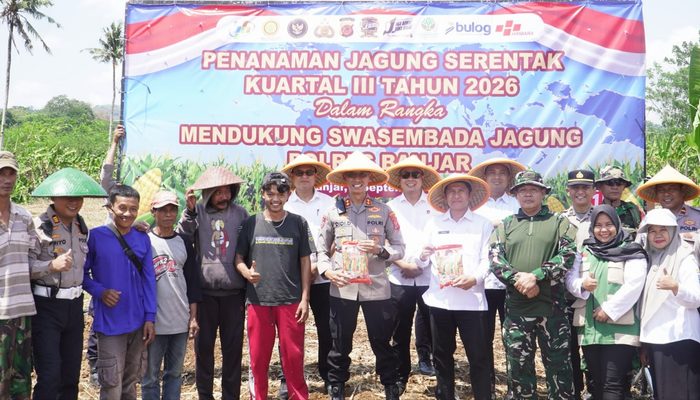 2 Hektare Lahan di Raharja Ditanami Jagung, Polres Banjar Dorong Swasembada Pangan