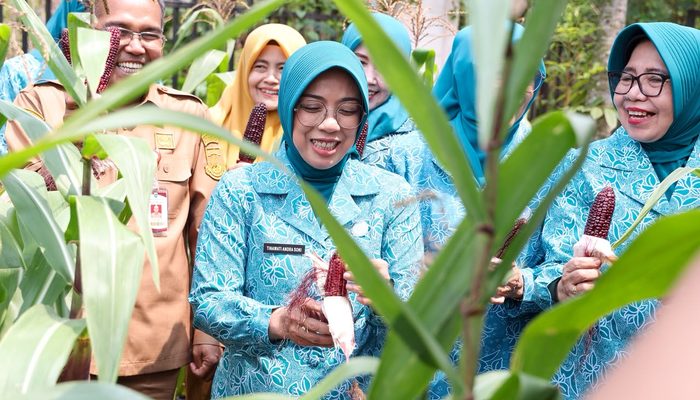 Panen Jagung di Pekarangan PKK, Tinawati Andra Soni Dorong Ketahanan Pangan dari Rumah