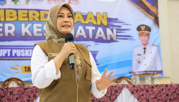 Irna Narulita Ajak Kader Kesehatan jadi Agen Perubahan dalam Mewujudkan Kabupaten/Kota Sehat