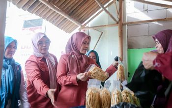 Irna Narulita Apresiasi Desa Maja Berhasil Raih Status Desa Mandiri